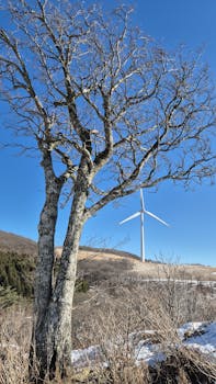 中东紧张局势延续；美国护航计划推出后，霍尔木兹海峡仍不平静；油价大幅波动。