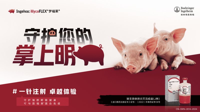 开年猪圈热闹了；巨头们忙啥呢？这些变化藏着啥门道。