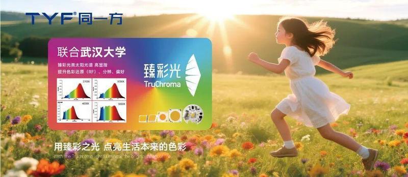 2026全国两会观察：显示产业竞争升维，AI+生态成关键变量。