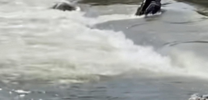 【水文安全】深度解析:半米积水如何成为致命陷阱——湘江溺水事故的技术复盘与风险防控 新闻 【水文安全】深度解析:半米积水如何成为致命陷阱——湘江溺水事故的技术复盘与风险防控 新闻 【水文安全】深度解析:半米积水如何成为致命陷阱——湘江溺水事故的技术复盘与风险防控 新闻 【水文安全】深度解析:半米积水如何成为致命陷阱——湘江溺水事故的技术复盘与风险防控 新闻