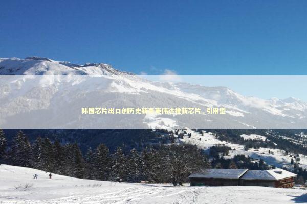 韩国芯片出口创历史新高英伟达推新芯片_引用型