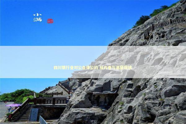 四川银行业对公自律公约 反内卷与基层现状