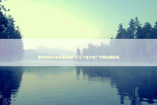 雷军披露小米机器人进厂打工了在汽车厂拧螺丝搬料箱