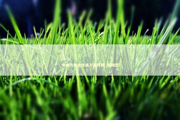 中德汽车合作进入蜜月期_趣味型