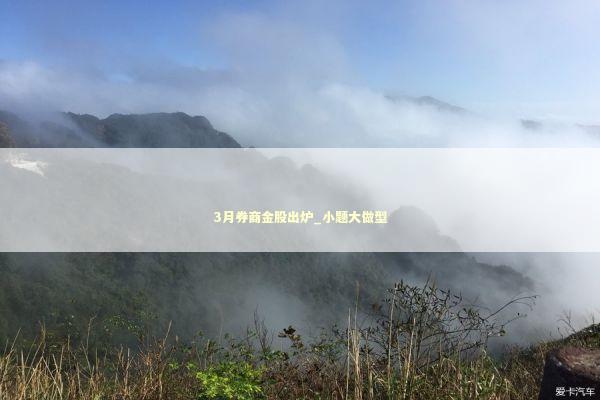 3月券商金股出炉_小题大做型