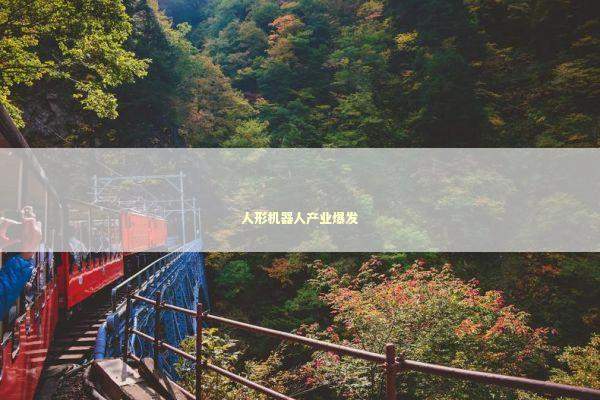 人形机器人产业爆发