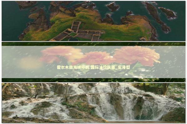 霍尔木兹海峡停航 国际油价飙涨_实用型