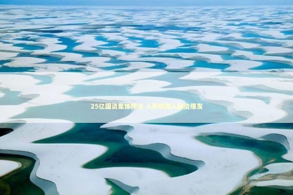 25亿国资集体押注 人形机器人融资爆发