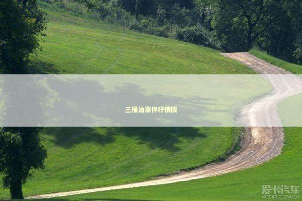 三桶油涨停抒情版