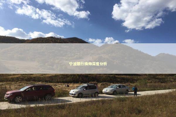 宁波银行换帅深度分析