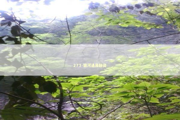 273-银河通用融资
