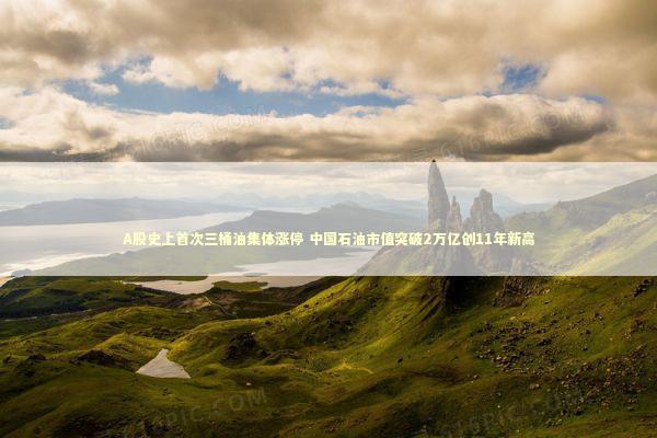 A股史上首次三桶油集体涨停 中国石油市值突破2万亿创11年新高