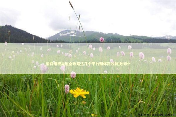 消费维权渠道全攻略这几个平台帮你高效解决纠纷
