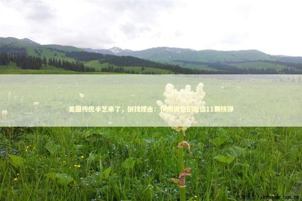 美国传统手艺来了，倒找理由：伊朗说他们能造11颗核弹