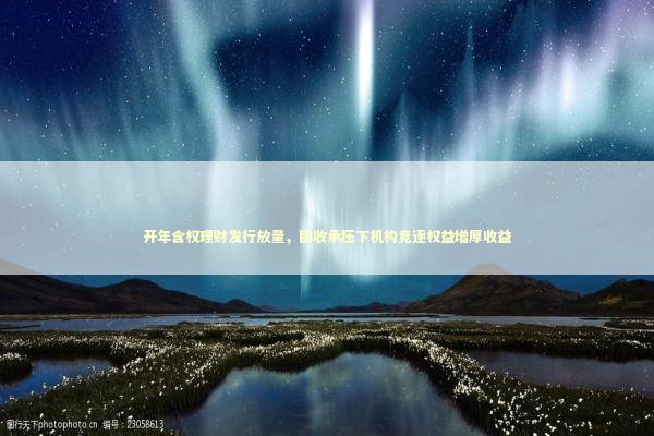 开年含权理财发行放量，固收承压下机构竞逐权益增厚收益