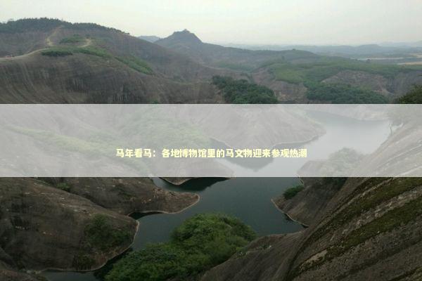 马年看马：各地博物馆里的马文物迎来参观热潮