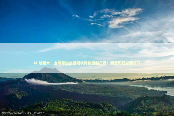 AI 越强大，金蝶等企业管理软件价值越凸显：新空间已全面打开