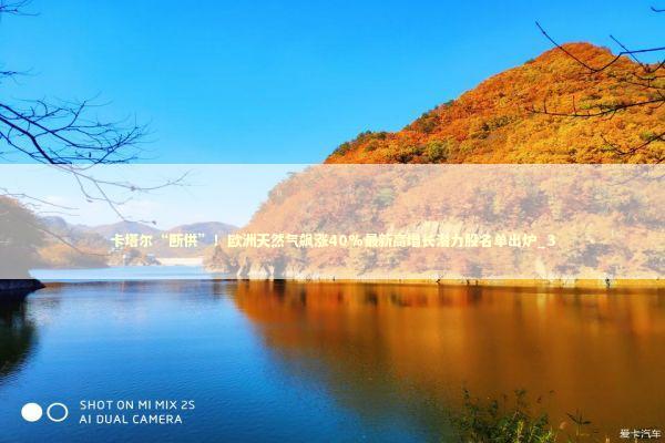 卡塔尔“断供”！欧洲天然气飙涨40%最新高增长潜力股名单出炉_3