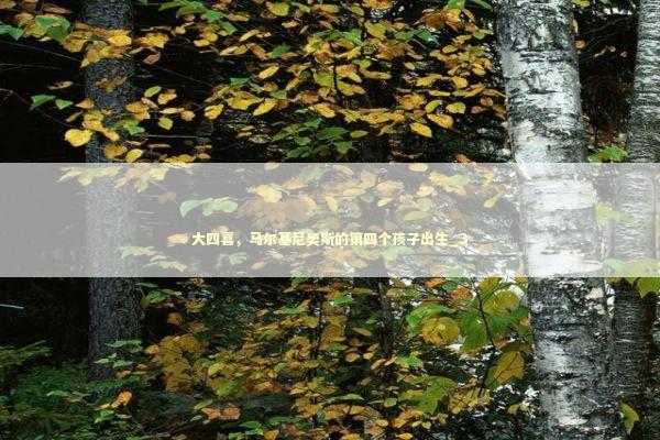 大四喜，马尔基尼奥斯的第四个孩子出生_3