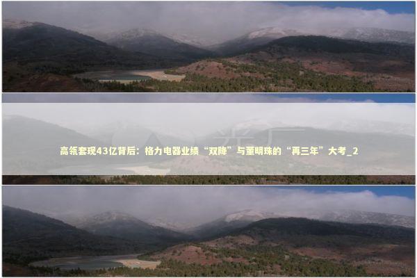 高瓴套现43亿背后：格力电器业绩“双降”与董明珠的“再三年”大考_2