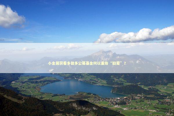小金属获看多做多公募基金何以重拾“旧爱”？