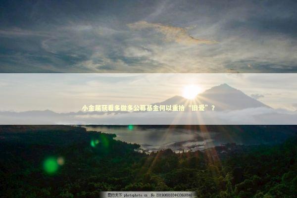 小金属获看多做多公募基金何以重拾“旧爱”？