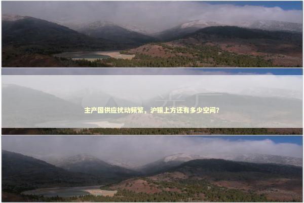 主产国供应扰动频繁，沪锡上方还有多少空间？
