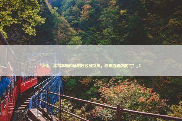 评论丨高铁车厢内抽烟还脱鞋架脚，哪来的嚣张底气？_1