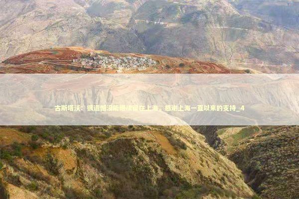 古斯塔沃：很遗憾没能继续留在上海，感谢上海一直以来的支持_4