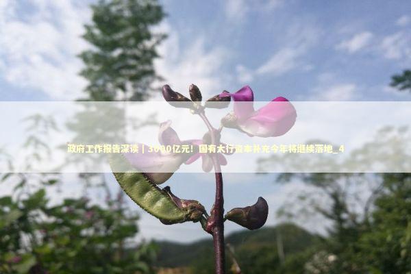 政府工作报告深读｜3000亿元！国有大行资本补充今年将继续落地_4