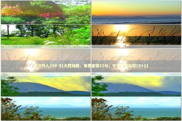 凯尔特人108-81大胜雄鹿，普里查德25分，字母哥复出取19+11