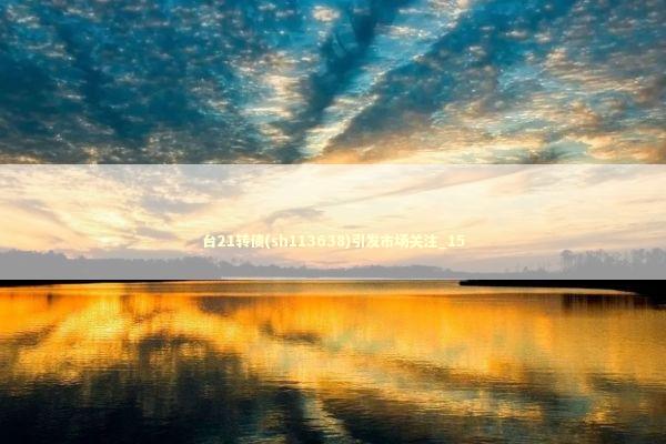 台21转债(sh113638)引发市场关注_15