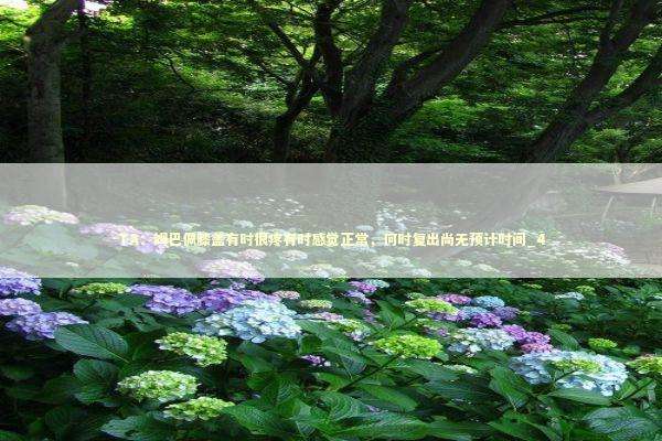 TA：姆巴佩膝盖有时很疼有时感觉正常，何时复出尚无预计时间_4