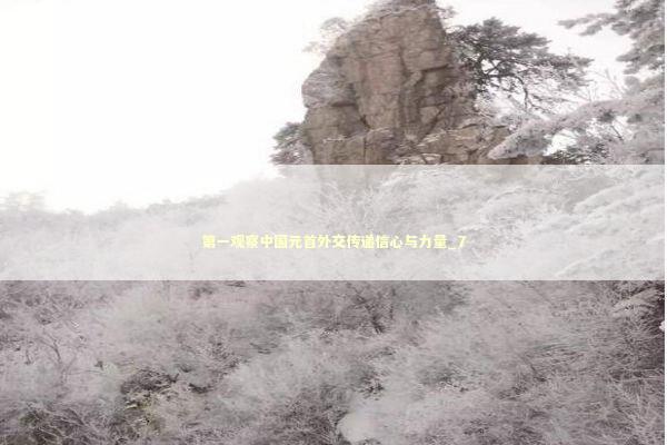 第一观察中国元首外交传递信心与力量_7