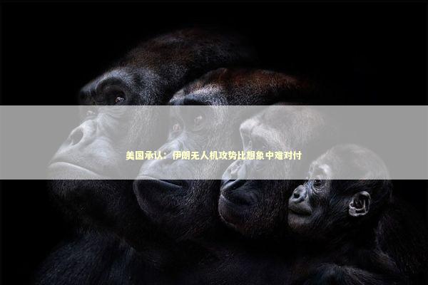 美国承认：伊朗无人机攻势比想象中难对付