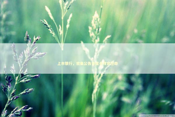 上市银行，密集公告首席合规官任命