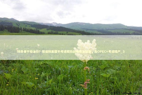 特朗普不怕油价？报道称美国不考虑释放战略原油储备，而OPEC+考虑增产_3