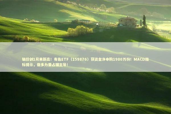 铝价创1月来新高！有色ETF（159876）获资金净申购1980万份！MACD指标提示，做多力量占据主导！