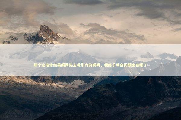 那个让搜索结果瞬间失去吸引力的瞬间，我终于明白问题出在哪了