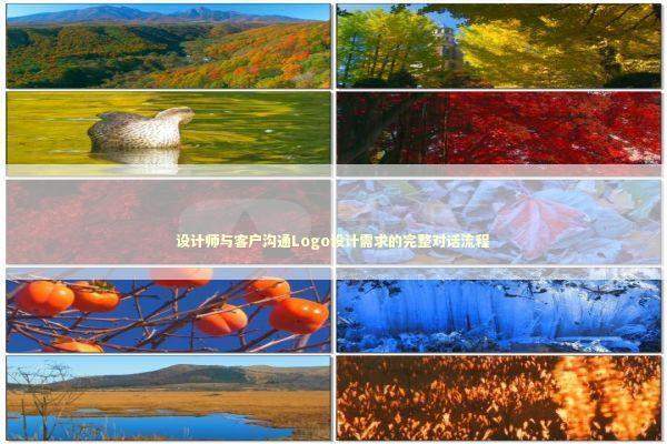 设计师与客户沟通Logo设计需求的完整对话流程