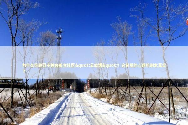 为什么你总忍不住在美食社区"云吃饭"？这背后的心理机制太真实了