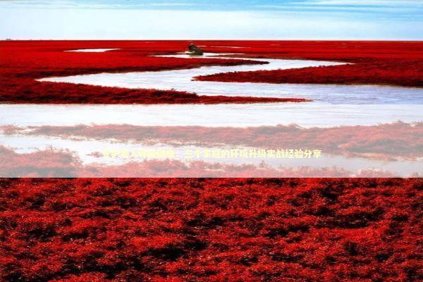 守护家人呼吸健康：三个家庭的环境升级实战经验分享