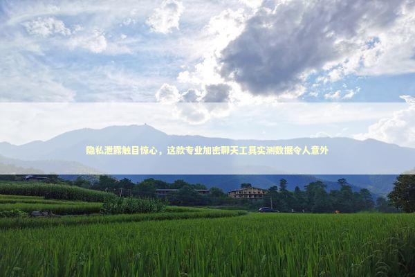 隐私泄露触目惊心，这款专业加密聊天工具实测数据令人意外