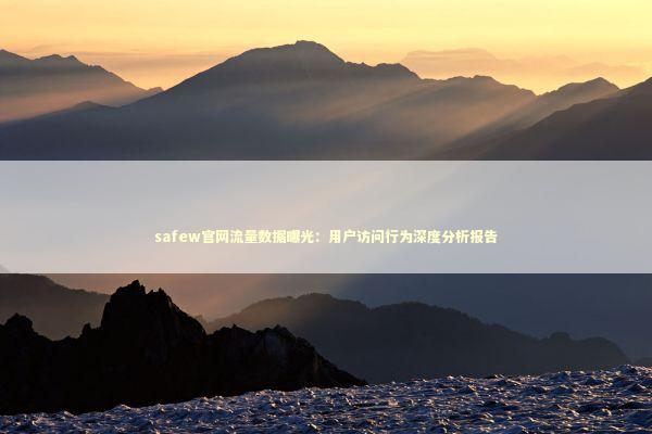 safew官网流量数据曝光：用户访问行为深度分析报告 IT技术